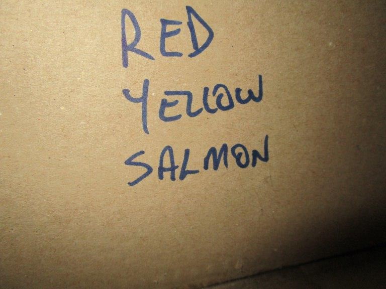 4.2kW Inverter Generator (Unused),