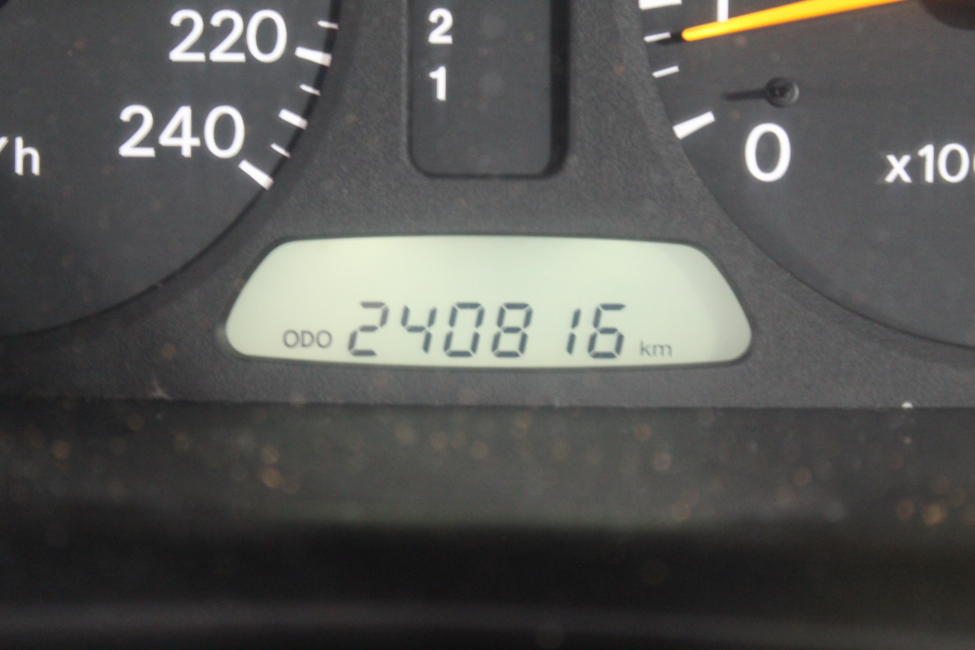 Fossil Tree Merlot 2022 (12x 750mL) SA