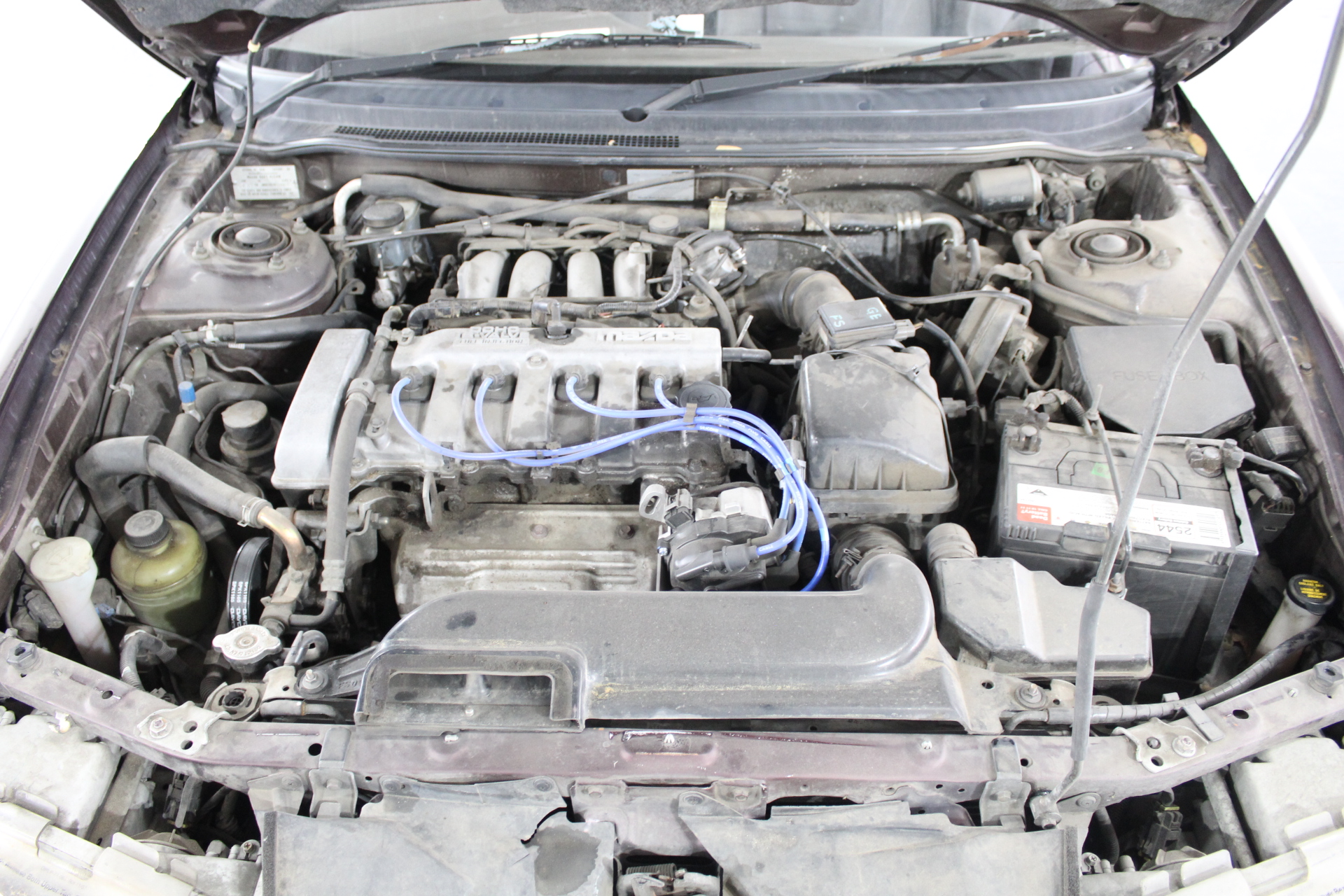 PREVUE Pet Products Soft Sided Bird Travel Carrier with Perch Large, Multic