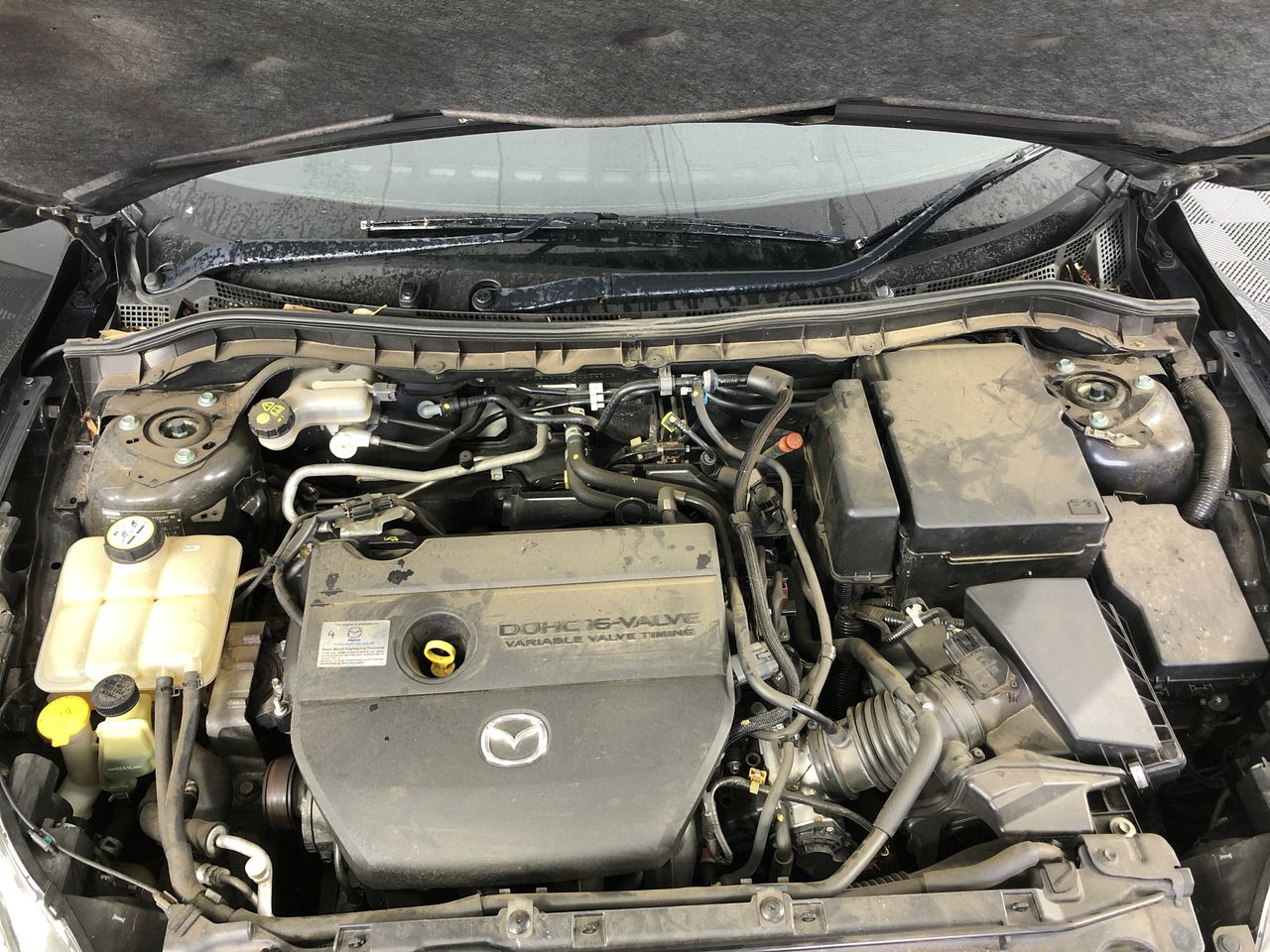 Inspired Company Chardonnay 2024 (12x 750mL) SEA