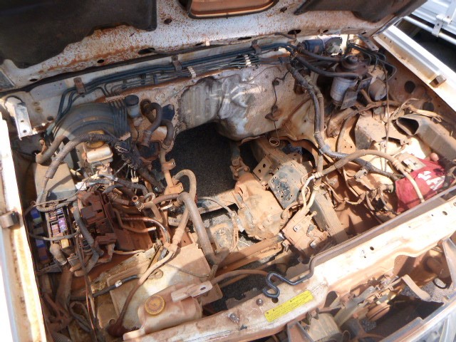 Hazelview Shiraz 2021 (12x 750mL) Langhorne Creek