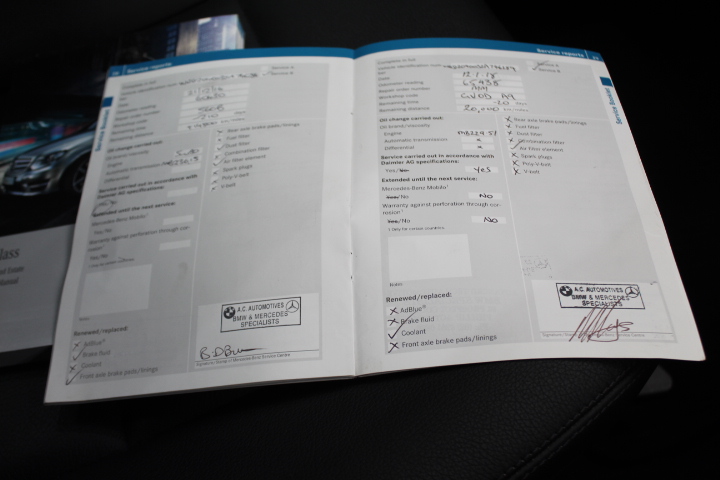 6-7mm White Pearl & Rhinestone Real 18k Gold Plated Bracelet