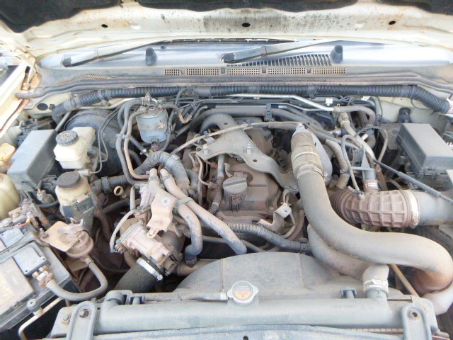 Casella Family Gold Shiraz 2008 (6x 750mL) SA