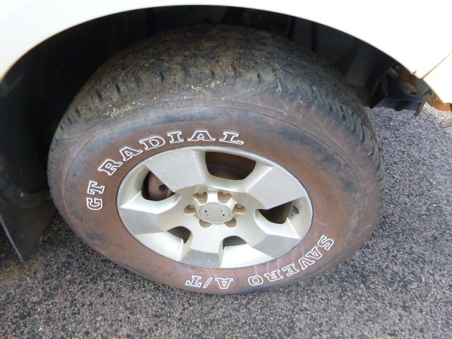 Casella Limited Release Cleanskin Cabernet Sauvignon 2013 (12x 750mL) SA