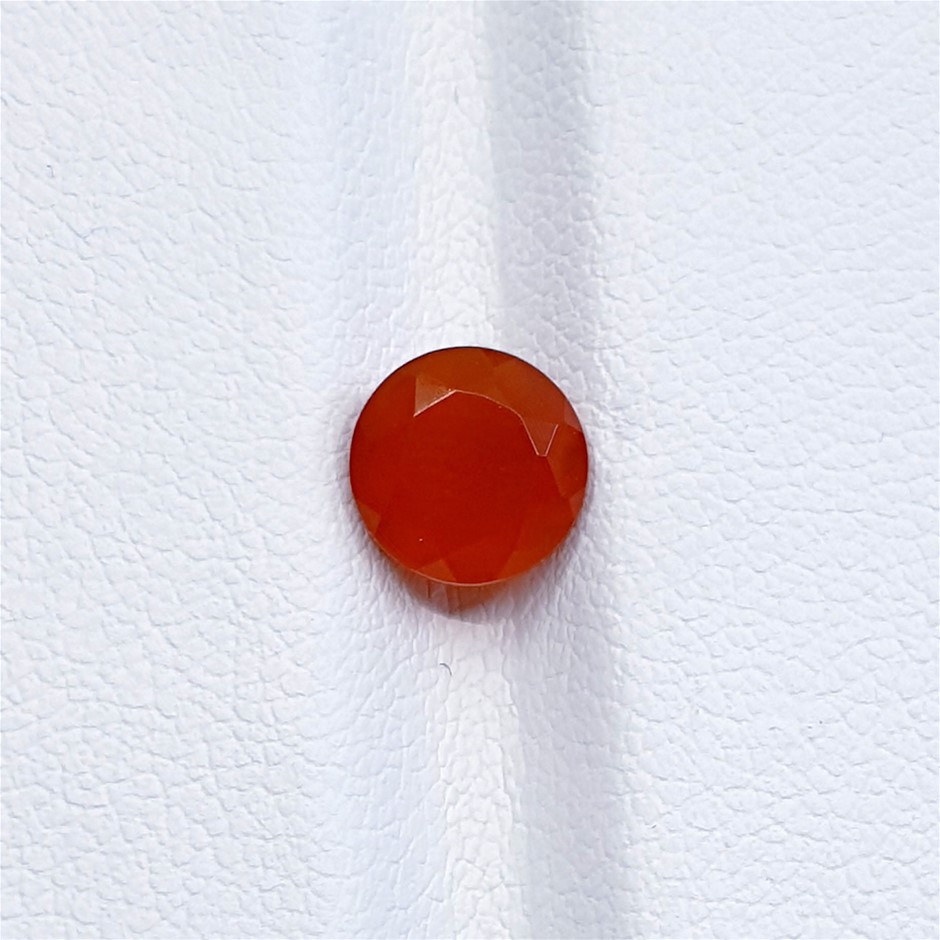 Elkay 51300C WaterSentry Microplastics NSF/ANSI Certified Filter (Bottle Fi