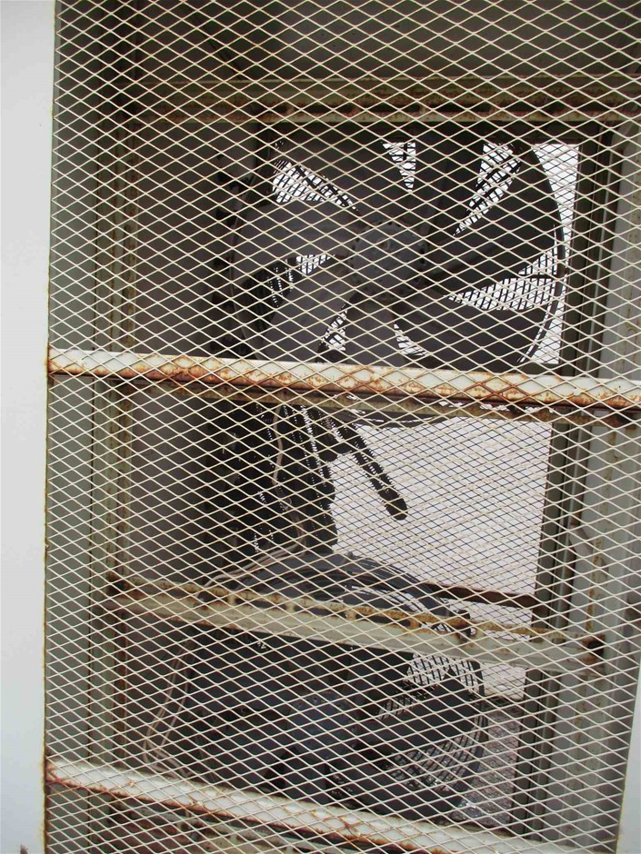 Set of 2 Chain andPads Assembly toSuitCaterpillar D6R/T Bulldozer(Unused)