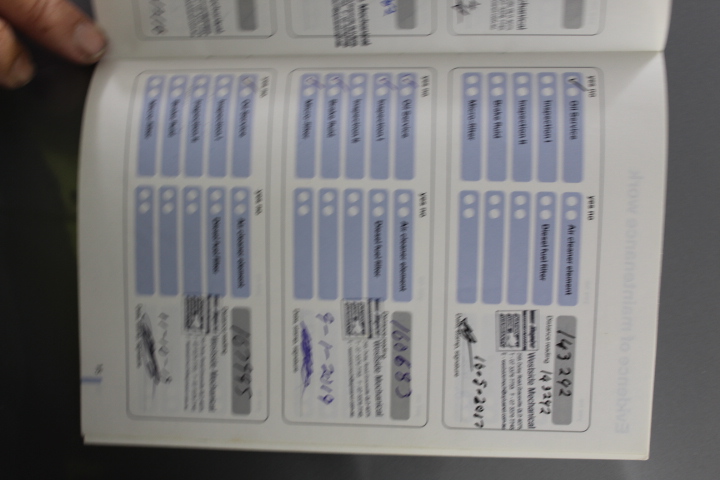 PUMA Women's Ignite Fasten8 Golf Shoe, Black/White, US 9