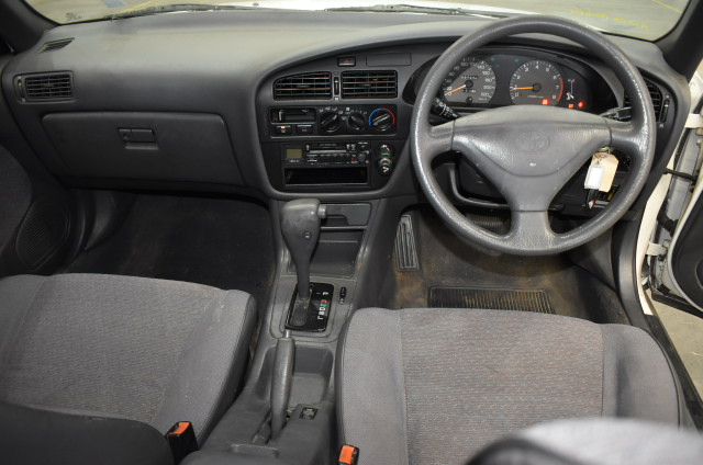 10 Packs of 1000 x VOREL Staples  10mmL x 11.3mmW x 0.7mmT.