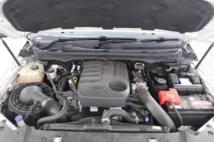 BOSCH/Ryobi Mixed Brand and Model Electric Lawn Mowers