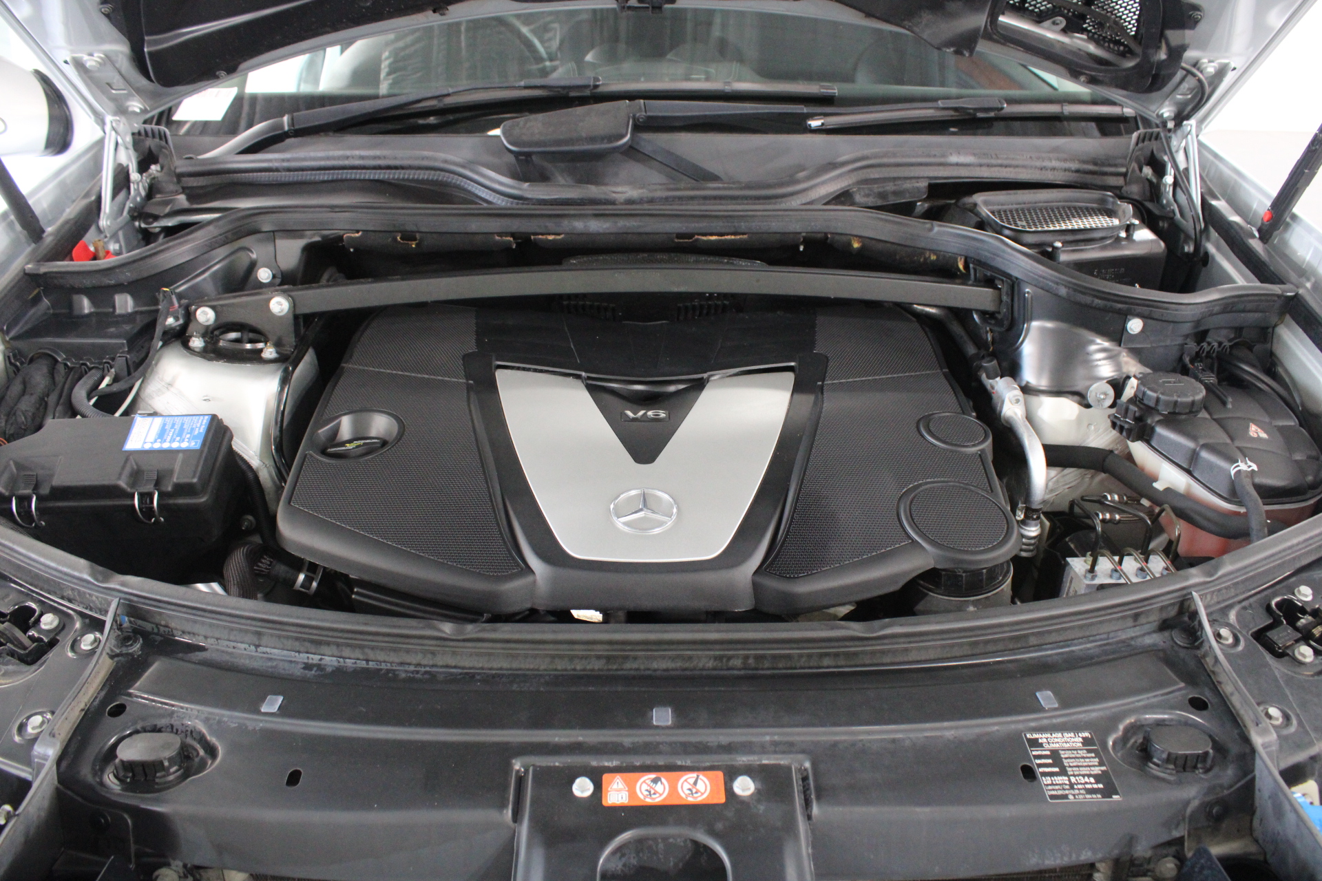 Cherry Blossom Jasper Gemstones & Swarovski® Crystal Earrings