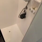 Brush Cutter Attachment (Unused)