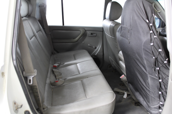 FELIX As Good As It Looks Kitten Wet Cat Food, Kitten Menus in Jelly, 60x85