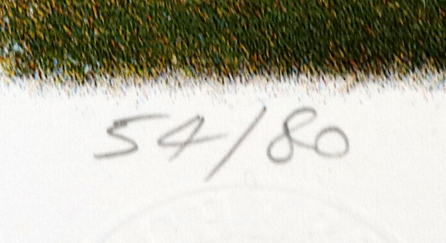 NEW!! LIMITED 2024 BLUEY DOLLARBUCK & BINGO $1 DOLLAR UNC Coin 2 CARD SET