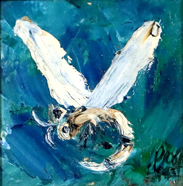 Portable Building - 12.0m x 3.0m - Glendenning