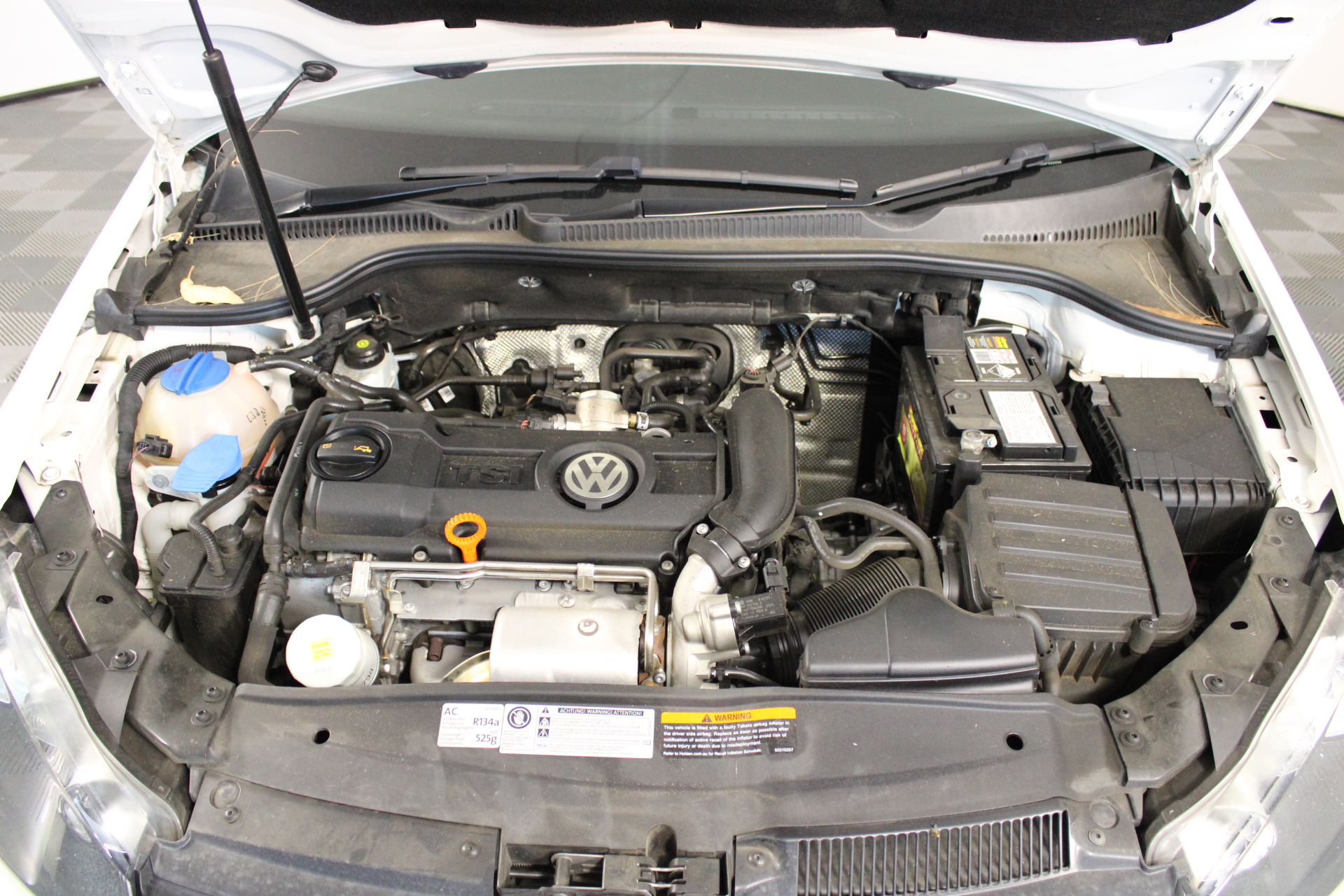 Elephant in the Room Shiraz (6x 750mL).