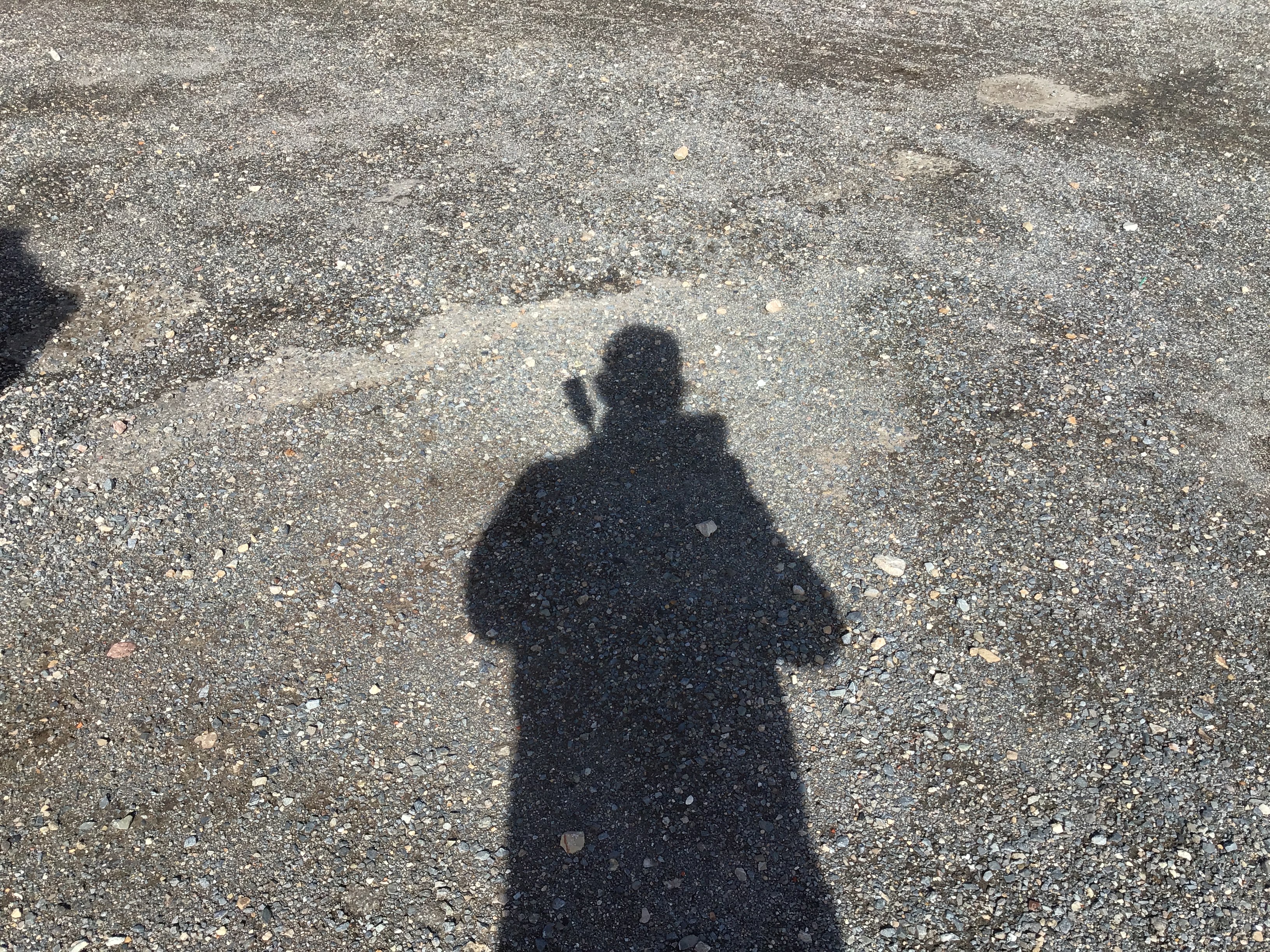 Flowerpot Organic Rosé (6x 750mL). Current Vintage Release.