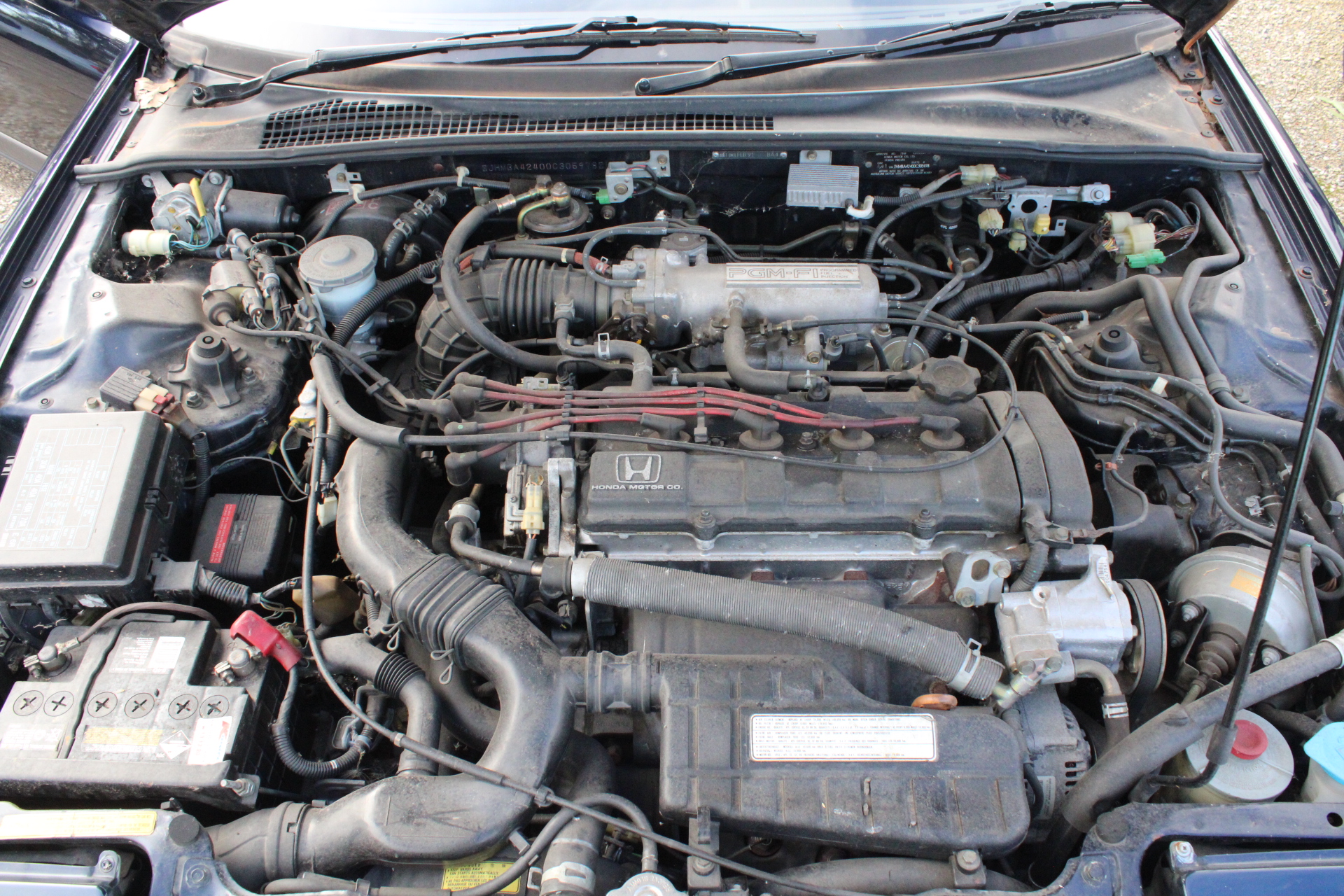 RIP CURL Girl's Sunkissed Floral Skirt - Bright Pink, Size 3-4. RRP: $45.99