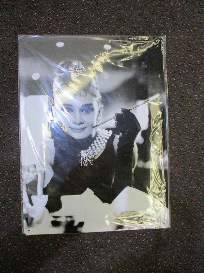 <p>Bobcat S570 Skid Steer Loader (Wheeled)</p>