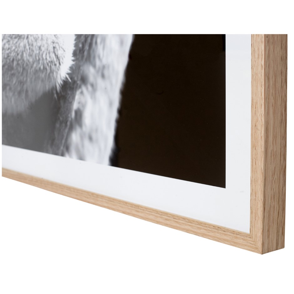 Echo Bay Pinot Grigio 2025 (12x 750mL) SEA