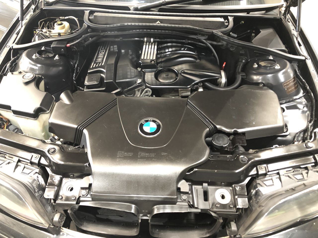 Echo Bay Pinot Grigio 2025 (12x 750mL) SEA