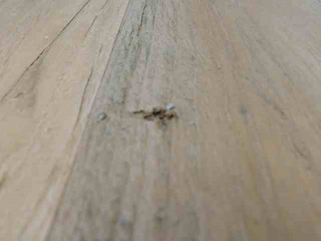 Annie's Lane Cabernet Merlot (6x 750mL).Current Vintage Release.