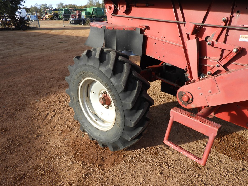 Elephant in the Room Buttery Chardonnay (6x 750mL).