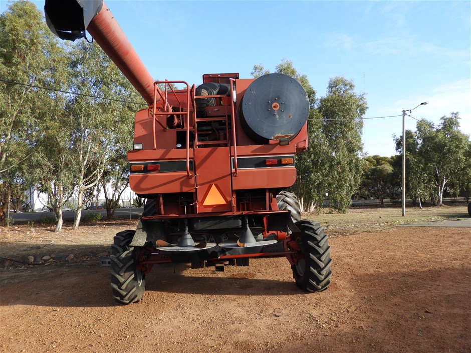 Elephant in the Room Chardonnay 2024 (6x 750mL).