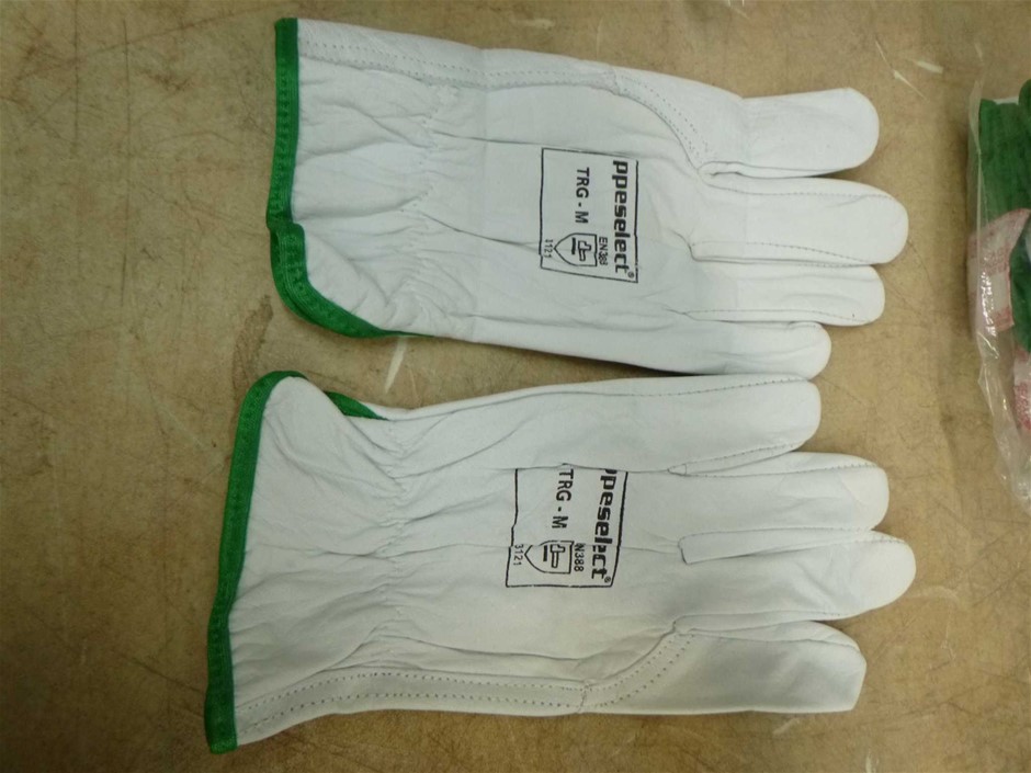 Thomson Estate Vine Dried Shiraz 2022 (12x 750mL) SA