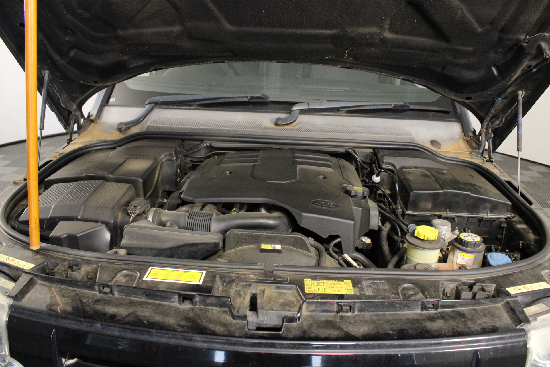 Elephant in the Room Buttery Chardonnay (6x 750mL).