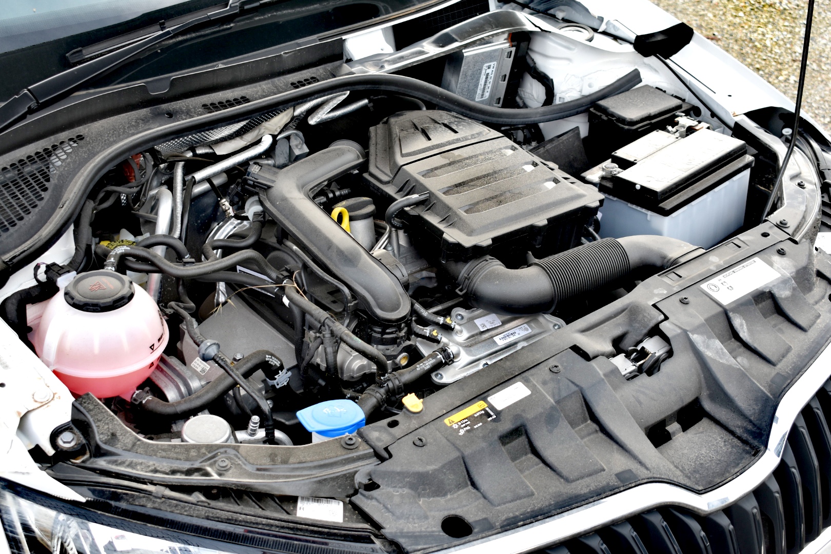 Salisbury Sauvignon Blanc 2024 (12x 750mL) SEA