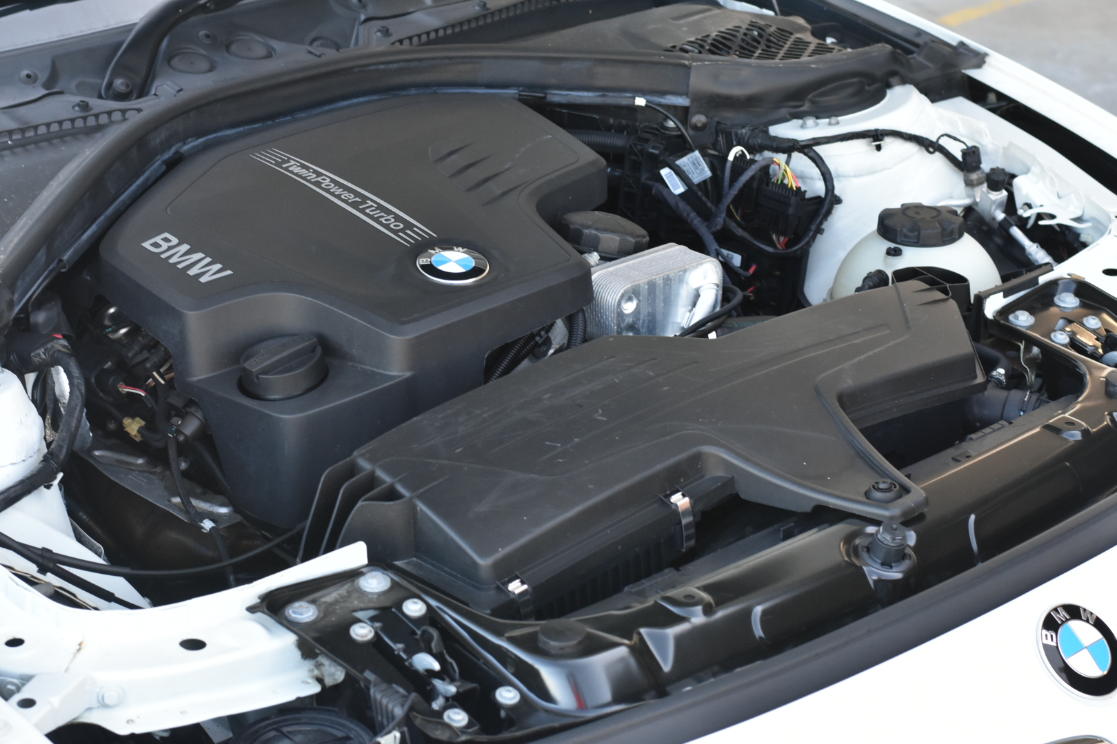 Elephant in the Room Shiraz (6x 750mL).