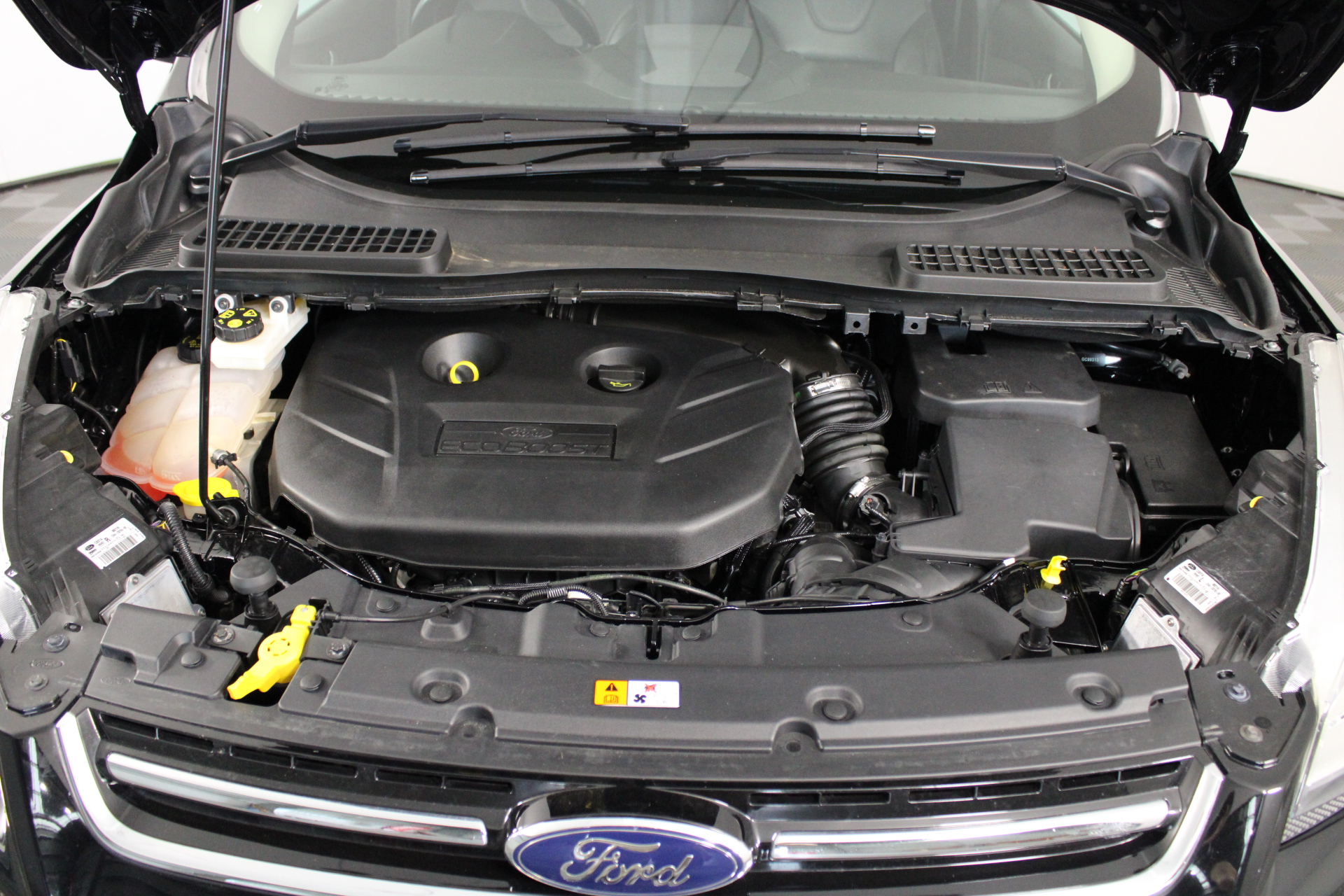 NEW!! LIMITED 2024 BLUEY DOLLARBUCK & BINGO $1 DOLLAR UNC Coin 2 CARD SET