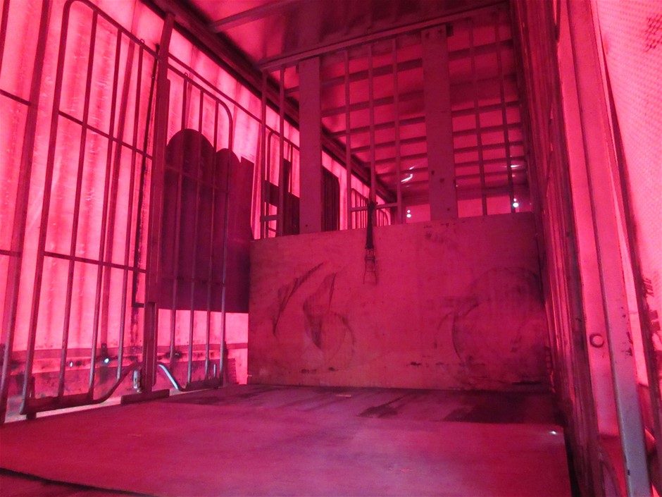 All In One Made With Water Reactive Fabric Showing Dolphin Print When Wet