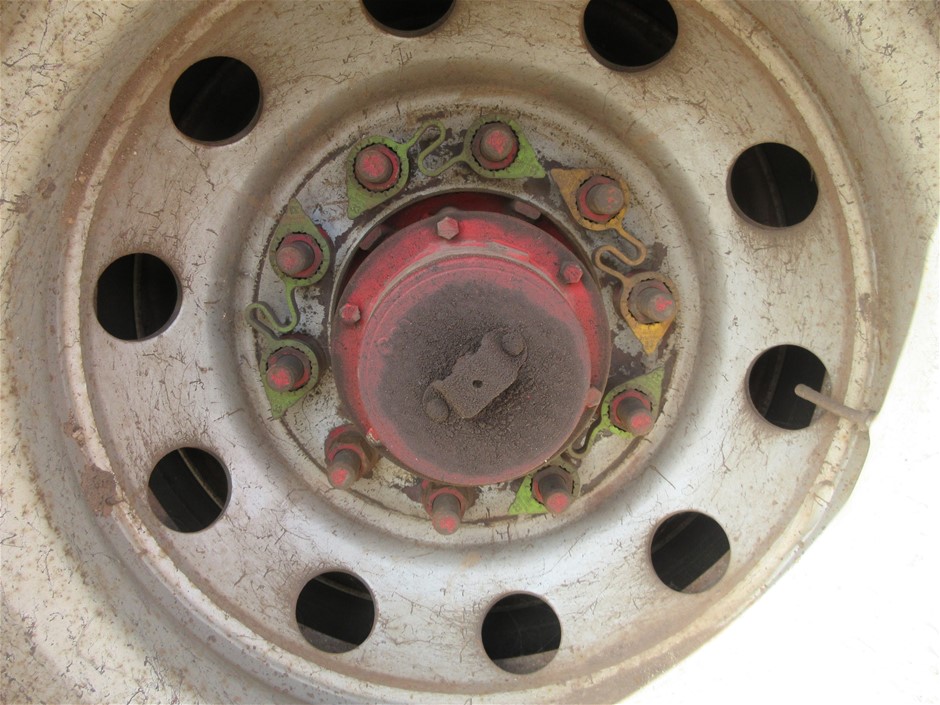 Rash Vest Made With Water Reactive Fabric Showing Dolphin Print When Wet