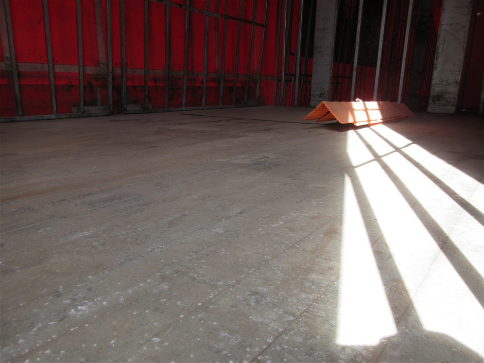 Swim short Made With Water Reactive Fabric Showing Dolphin Print When Wet