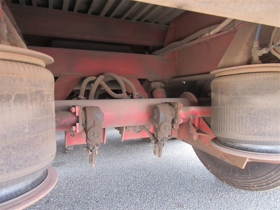 Swim shorts Made With Water Reactive Fabric Showing Dolphin Print When Wet