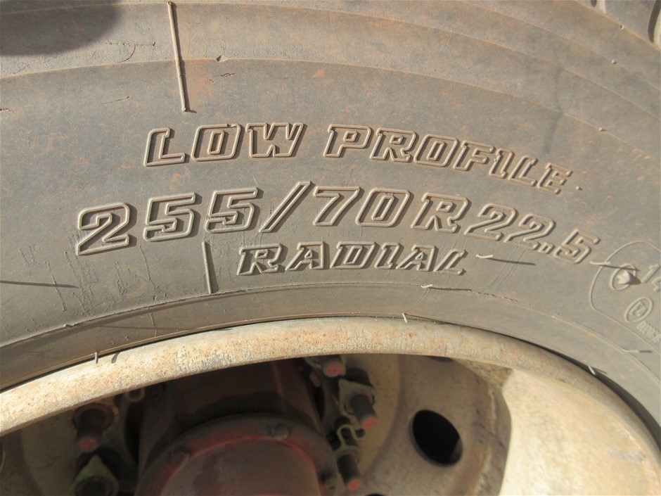 Swim short Made With Water Reactive Fabric Showing Dolphin Print When Wet