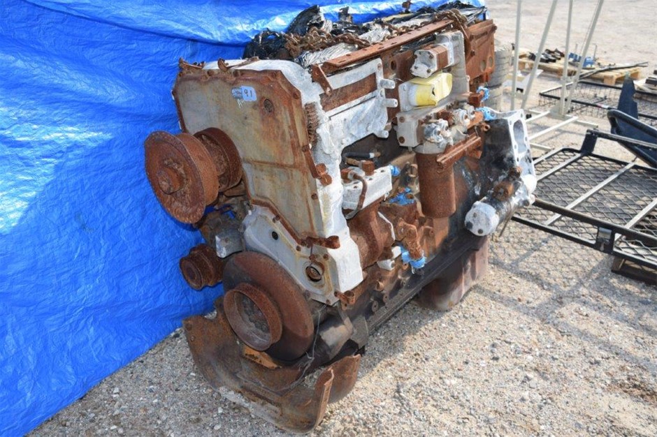 6-7mm White Pearl & Rhinestone Real 18k Gold Plated Bracelet