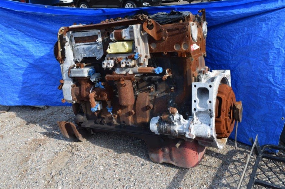 6-7mm Black Pearl & Rhinestone Real Platinum Plated Bracelet