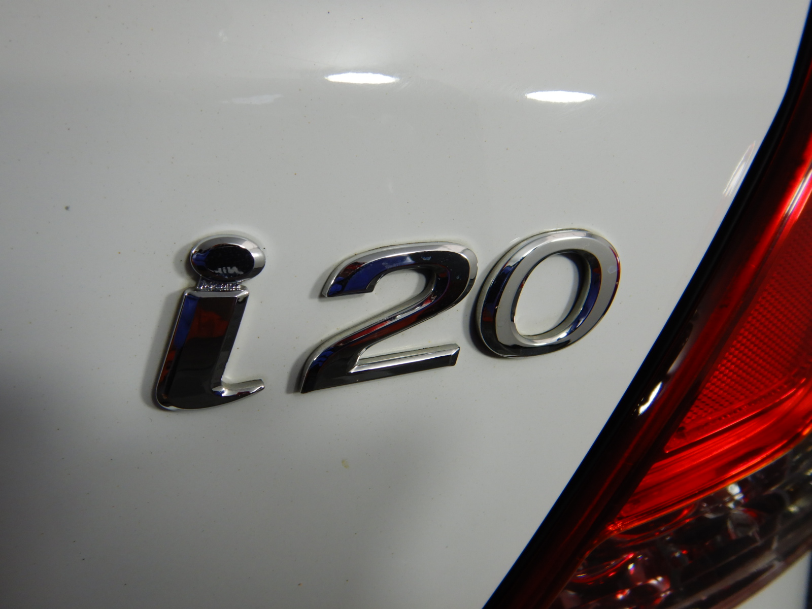 Stainless Steel Tree of Life Necklace in Rose