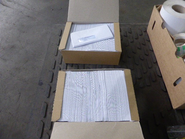 Little Giant 'Organic' Pet Nat 2022 (6x 750mL) SA