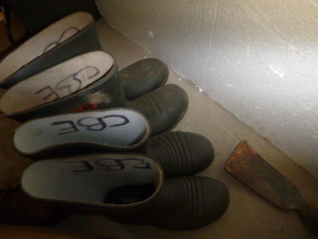 Salisbury Cabernet Sauvignon 2022 (12x 750mL) SEA