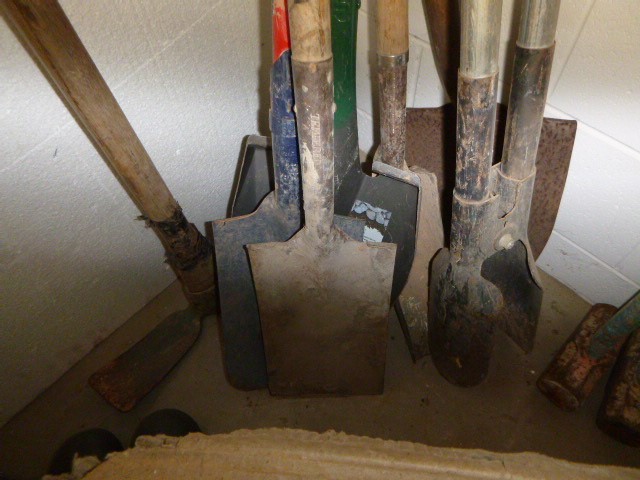 Salisbury Sauvignon Blanc 2024 (12x 750mL) SEA