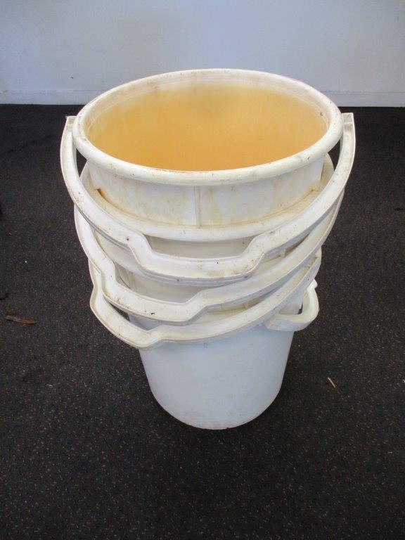 Original Aboriginal Painting Colleen Bird Wallace Nungurrayi