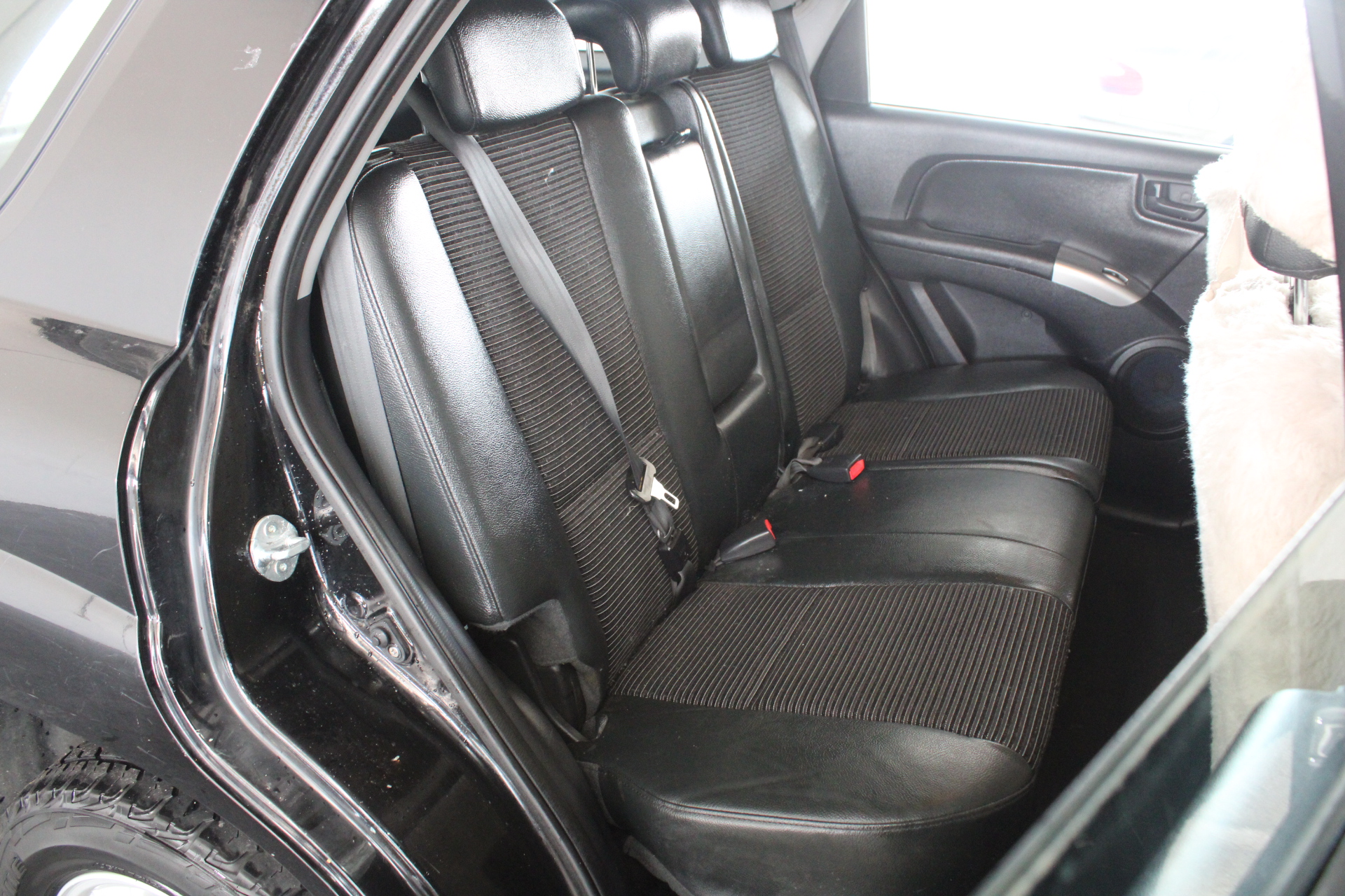 NEW!! LIMITED 2024 BLUEY DOLLARBUCK & BINGO $1 DOLLAR UNC Coin 2 CARD SET