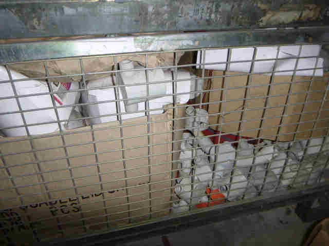 Last Piece - Minimalist Earrings in Gold