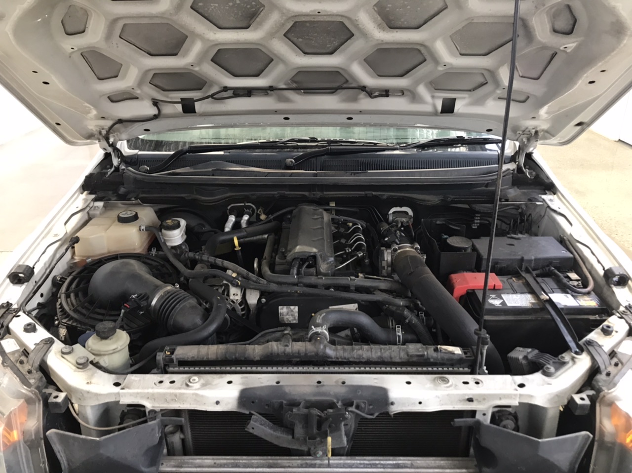 1000 Sundowns Cabernet Sauvignon 2022 (12x 750mL) Coonawarra