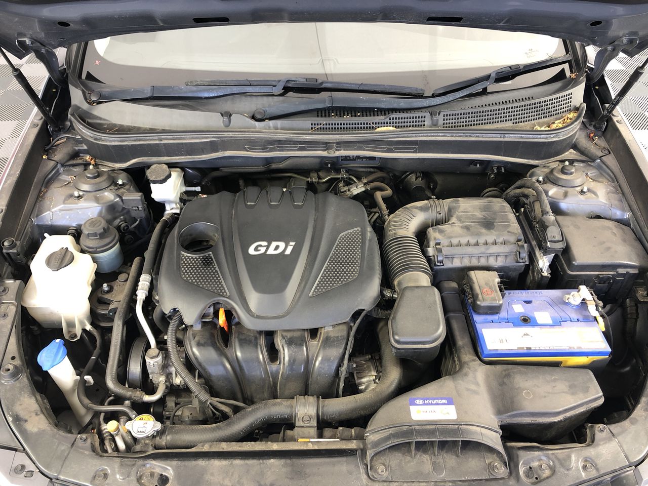 Wolf Blass Red Label Sauvignon Blanc (6x 750mL). Current Vintage Release.