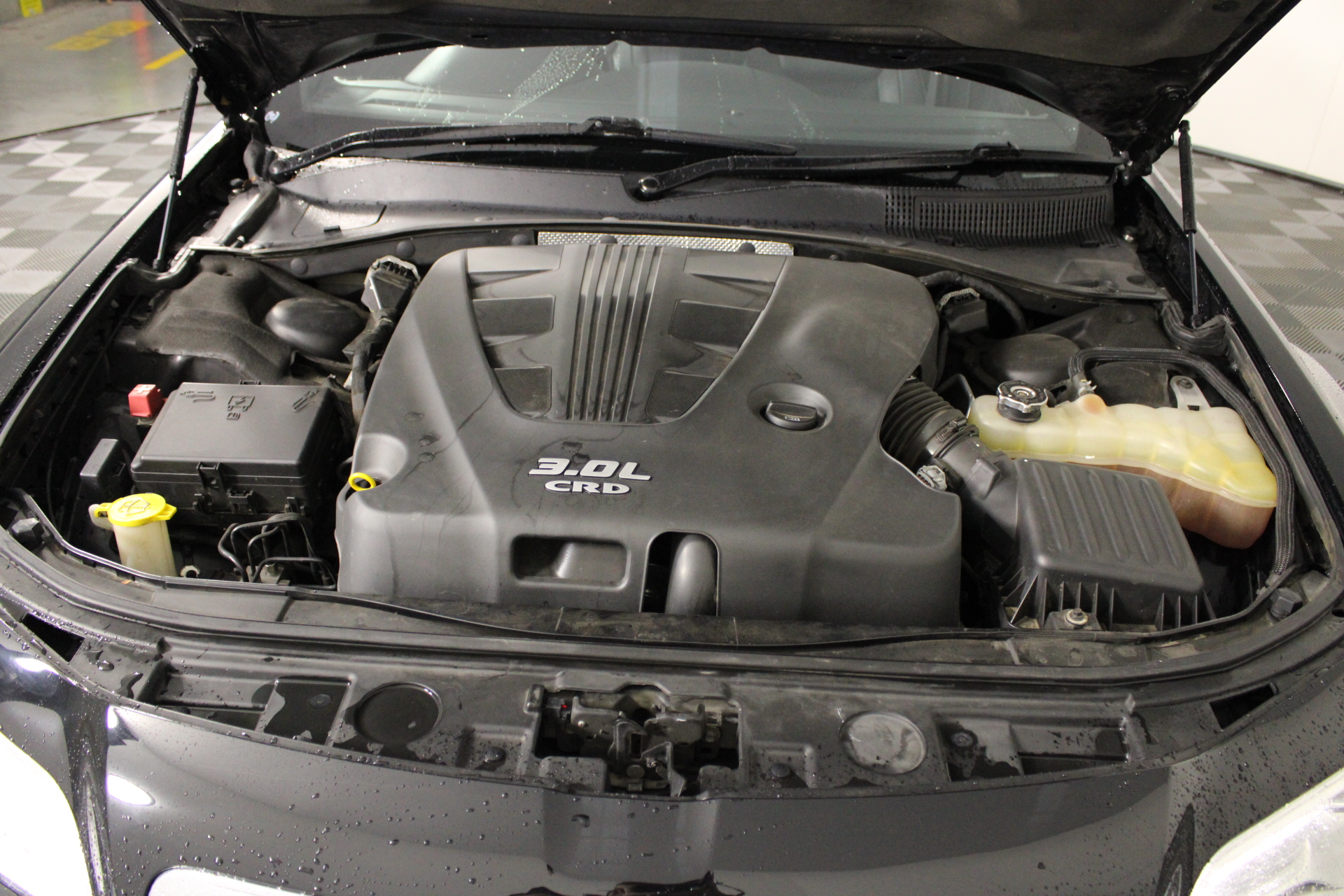 Elephant in the Room Pinot Gris 2025 (6x 750mL).