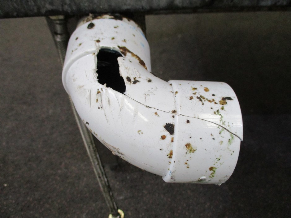 Orologio Classica Women's Swiss Collection Watch